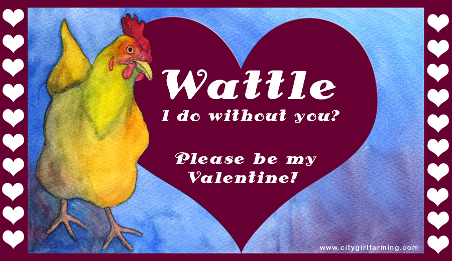 hen-valentine.jpg