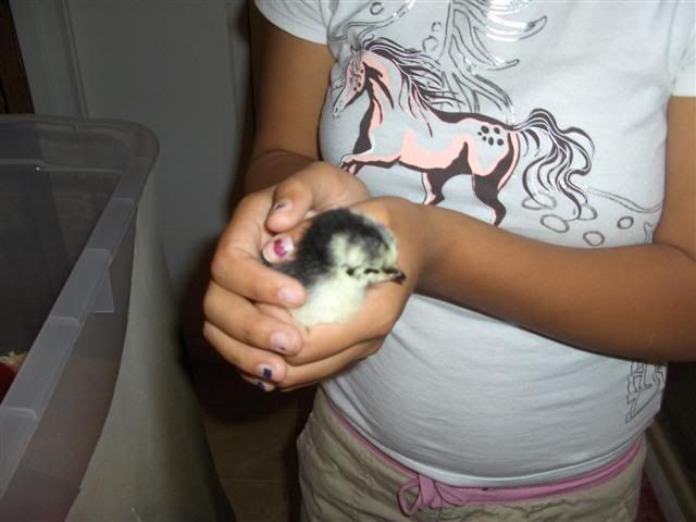 Molly2small.jpg