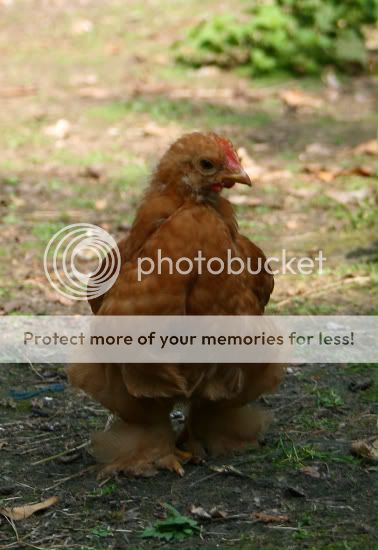 IMG_7663-border.jpg