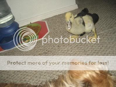 IMG_2831.jpg