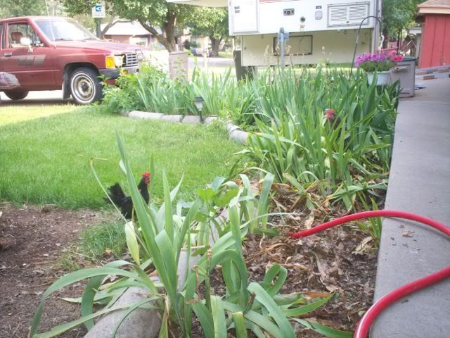 100_1325.jpg
