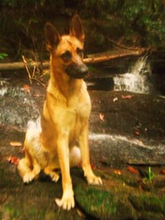 DSCN2306.jpg