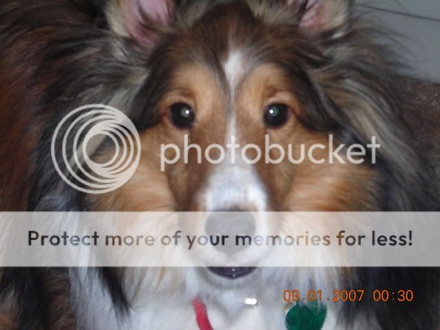 DSCN0705.jpg