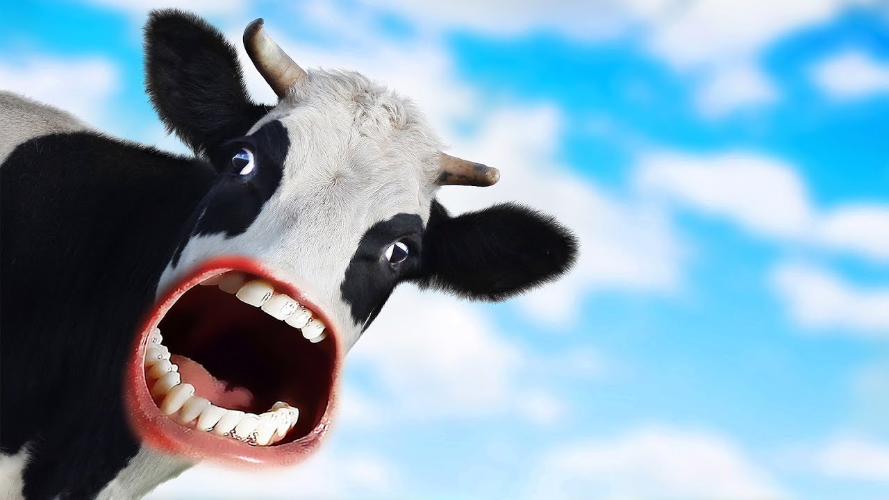 MOO - YouTube