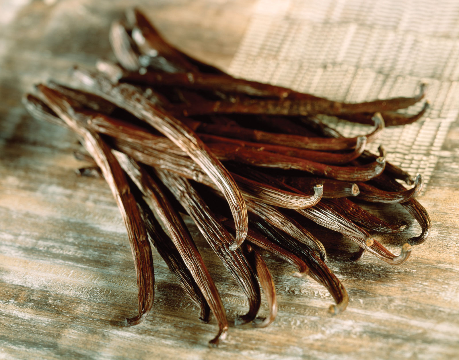 vanilla-planifolia1.jpg