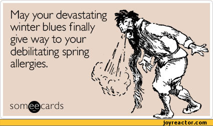 ecards-auto-222825.jpeg