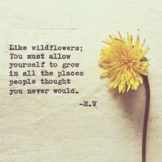 9474bb1d4f212d94c246e5022c2315e6.jpg