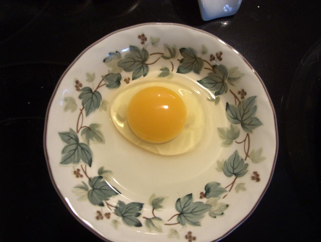 6565994301_7b098294ba_z.jpg