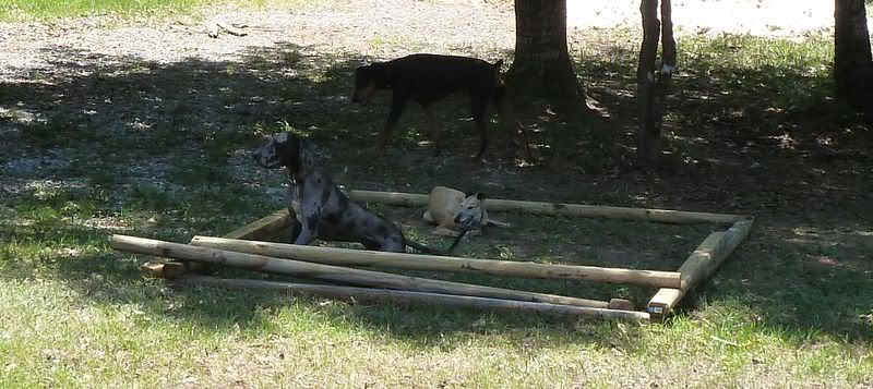 P1030524.jpg
