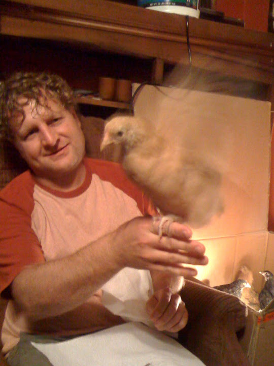 grace%20perch%20flap.jpg