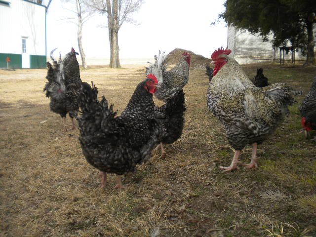 DSCN7745.jpg