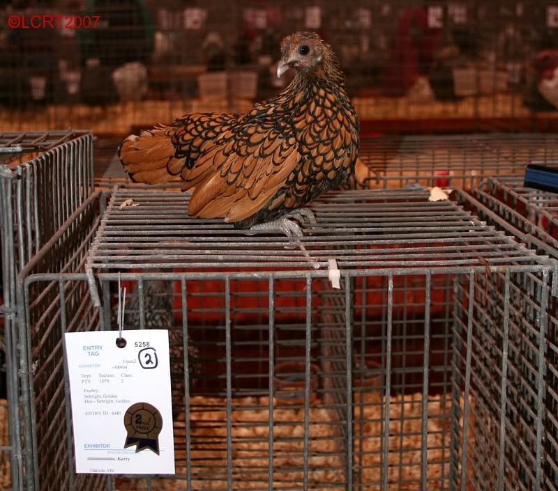 IMG_6171_RAWF_LCRT2007.jpg
