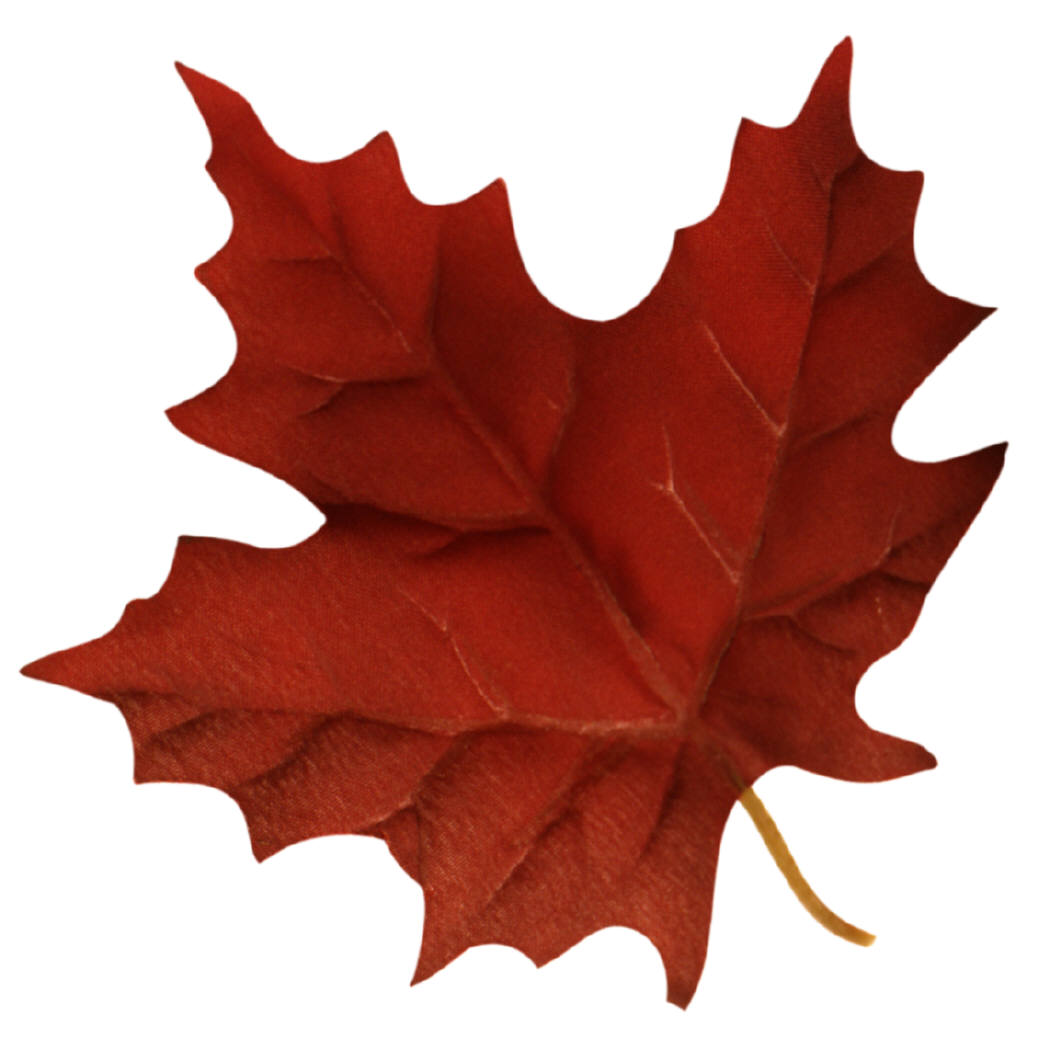 green-maple-leaf-clipart-LiKgyadia.jpeg