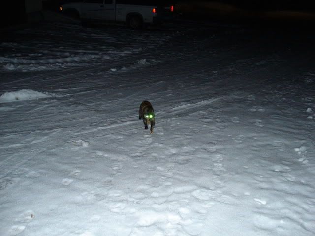 DSC00174.jpg