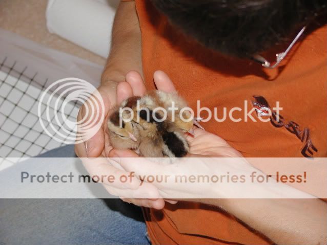 May2008104.jpg
