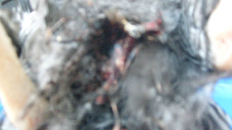 S6304487.JPG