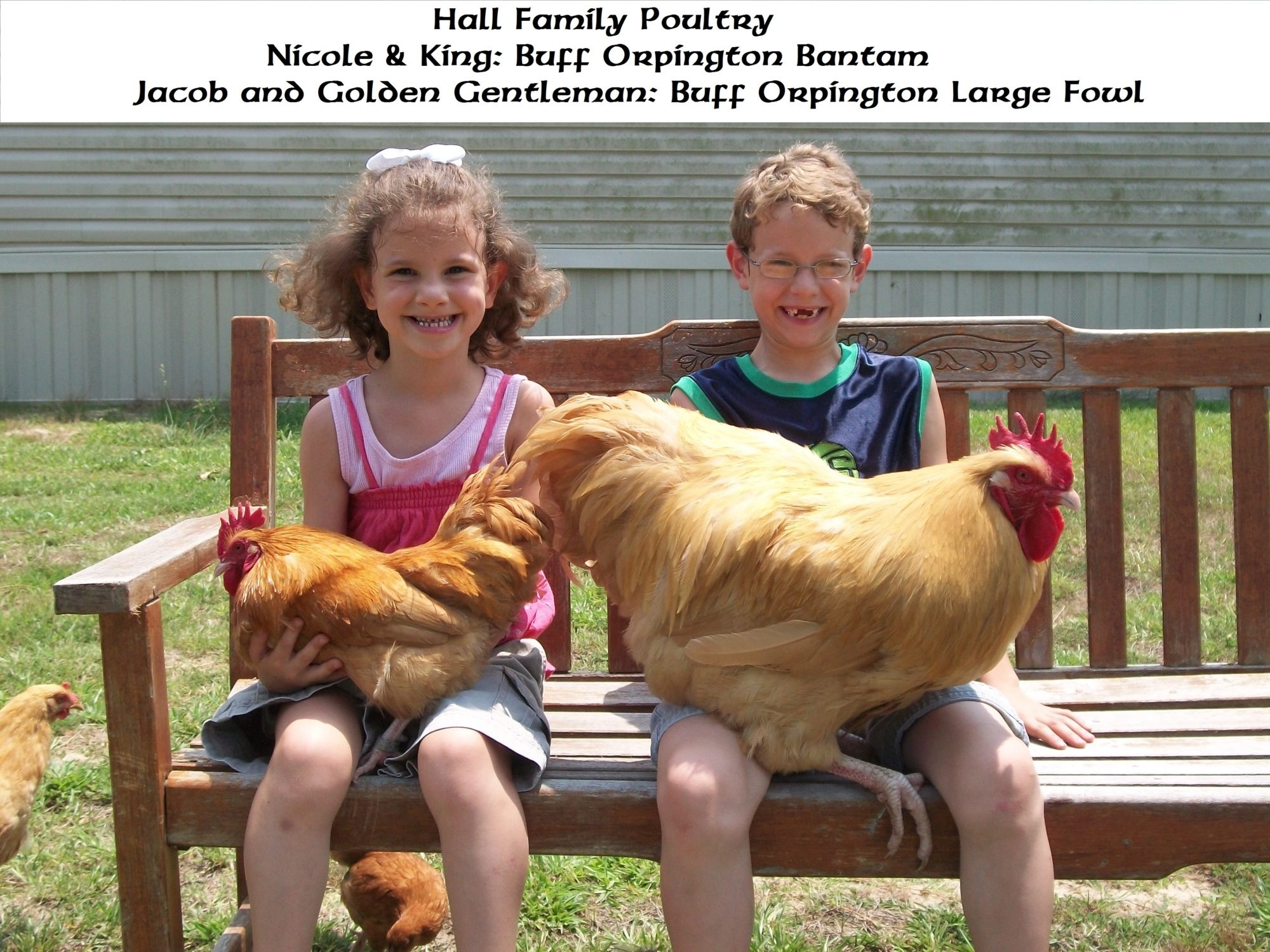 3207c4ef_NicoleandJacob.jpeg