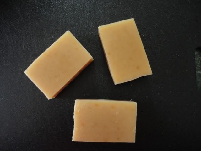 11-6-11SoapyCleanforDinkey.jpg