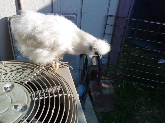DSC01301.jpg