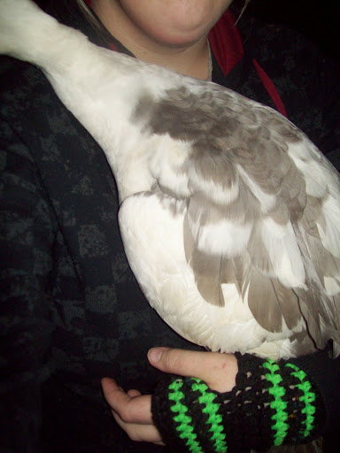 100_5067.JPG