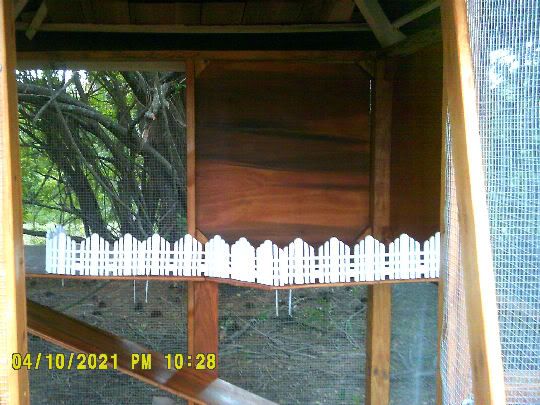 Fence.jpg