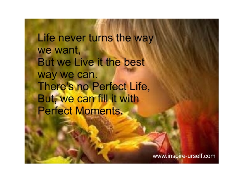perfect-life1.jpg