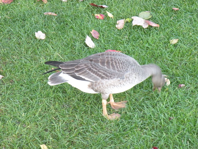 DSCN5307.JPG