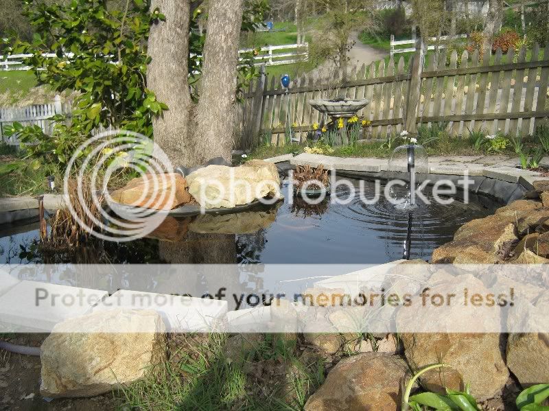 IMG_0746Standarde-mailview.jpg