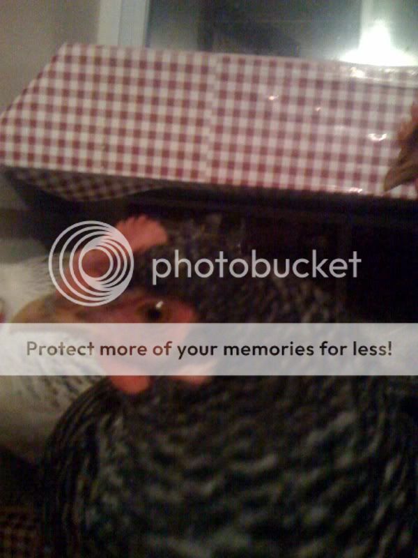 photo36.jpg