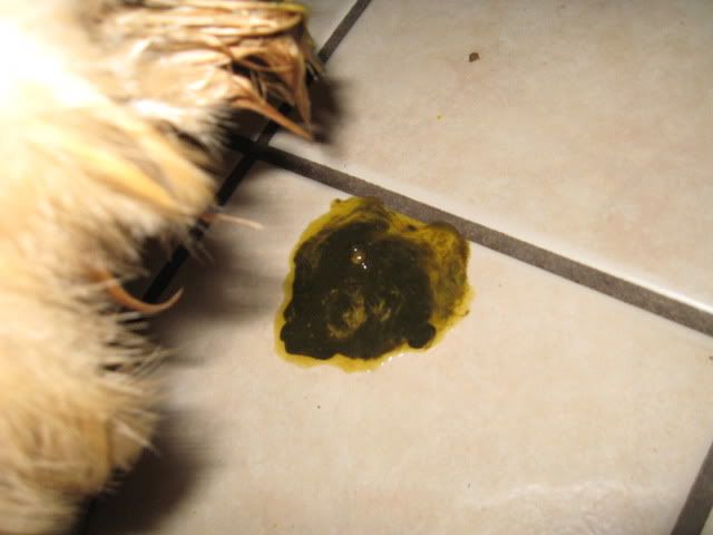 march2010617.jpg