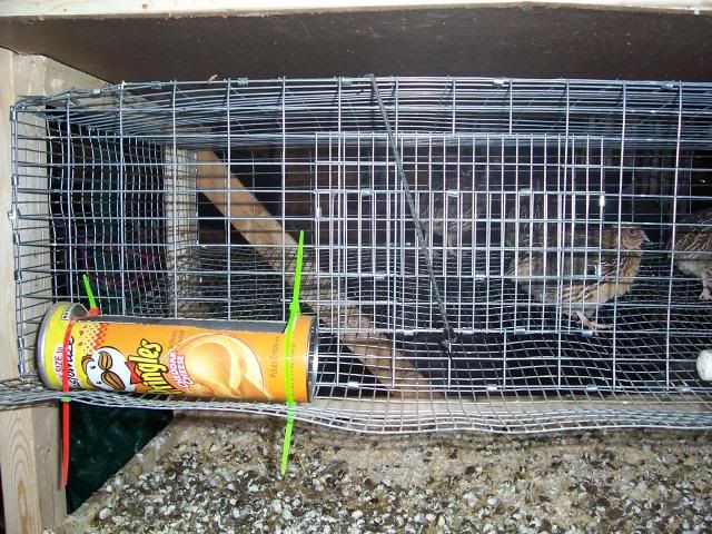101_1442.jpg