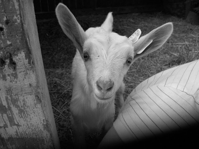 100_3279.JPG