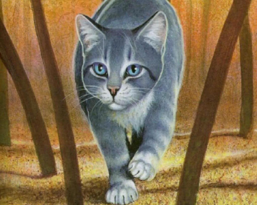 warrior_cats_silverstream_by_deputy_silverclaw.jpg