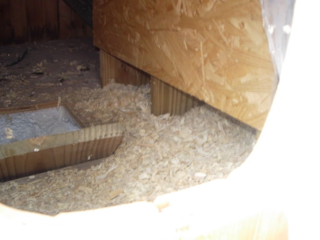 DSCN2830.jpg