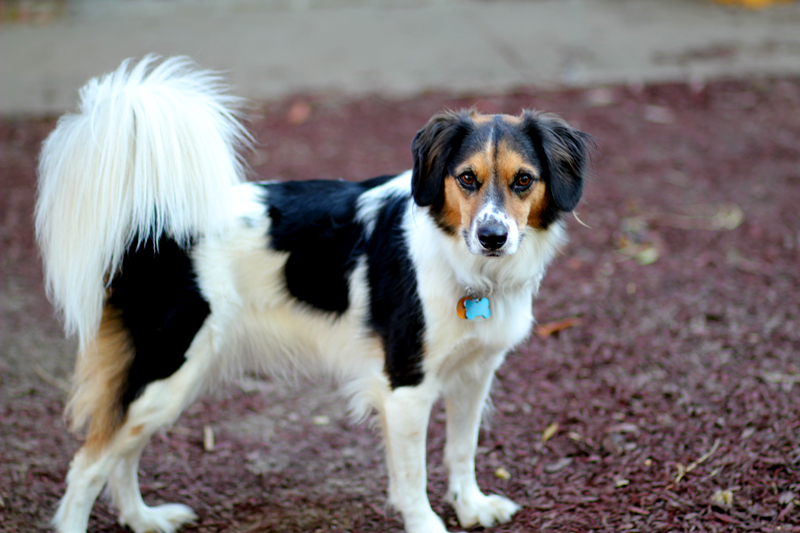 maggie-e.jpg