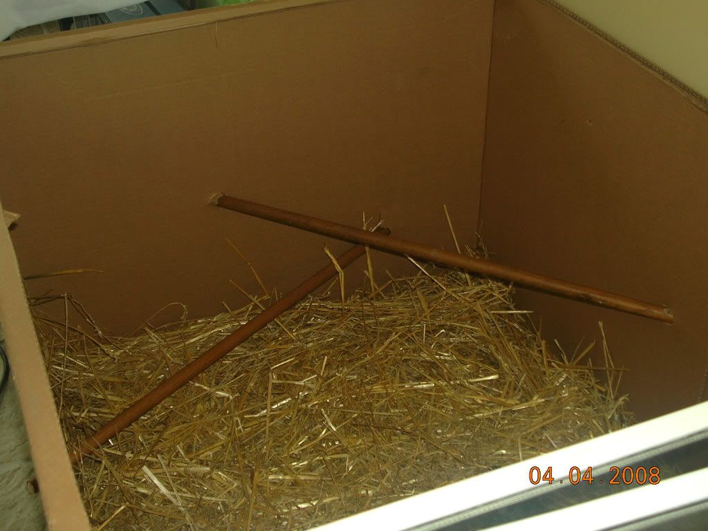 DSCN1559.jpg