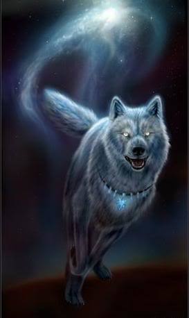 900x900px-LL-3c66cbee_url.jpeg