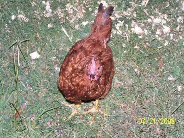 Picture003.jpg