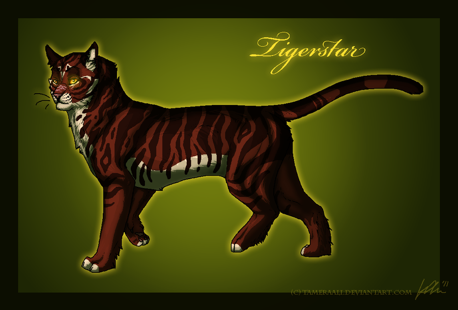 tigerstar_by_tameraali-d37yubq.png