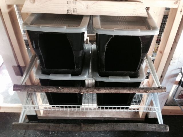 900x900px-LL-9b230300_get-attachment-8.aspx.jpeg