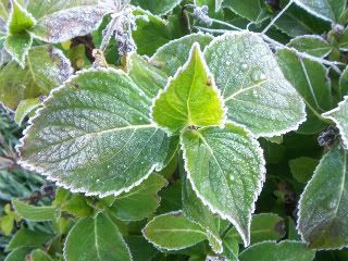 100_2037.jpg