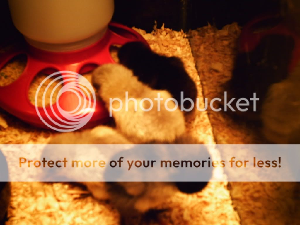 PHTO0010.jpg
