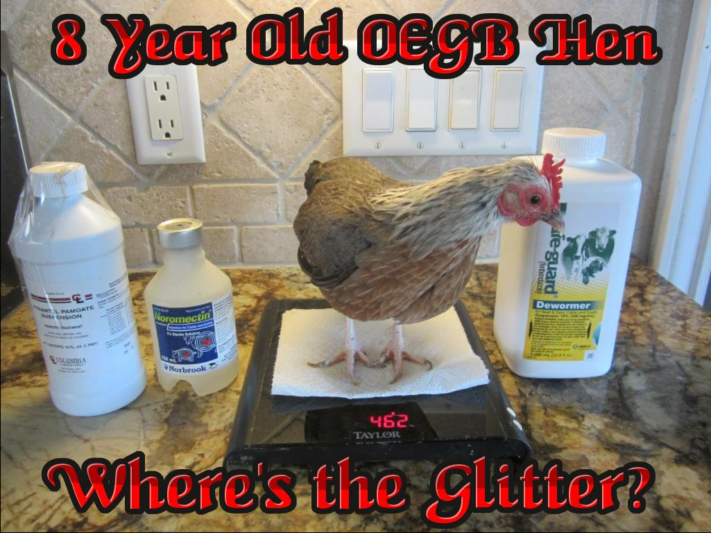 30x30px-ZC-0b7e02c9_glitter_d.png