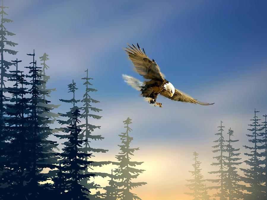 majestic-eagle-paul-sachtleben.jpg