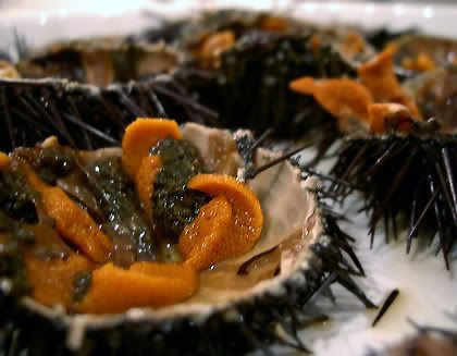 seaurchin.jpg