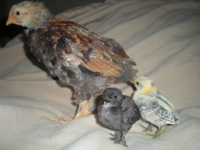 DSCN1851.jpg