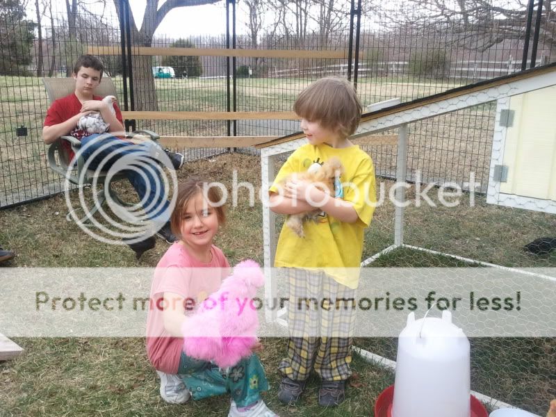 2011-03-22165023.jpg