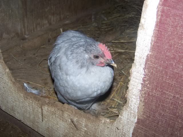 100_1849.jpg