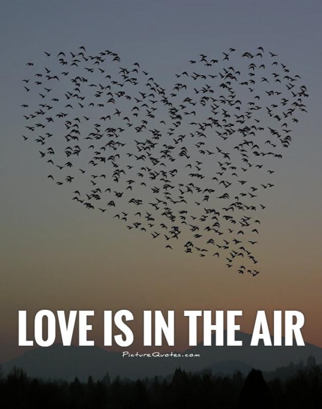 love-is-in-the-air-quote-1.jpg
