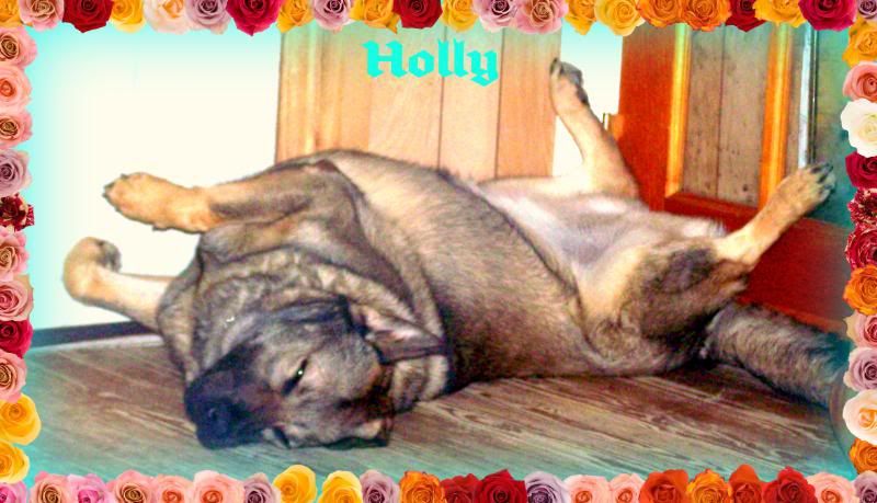 hollysleep20.jpg
